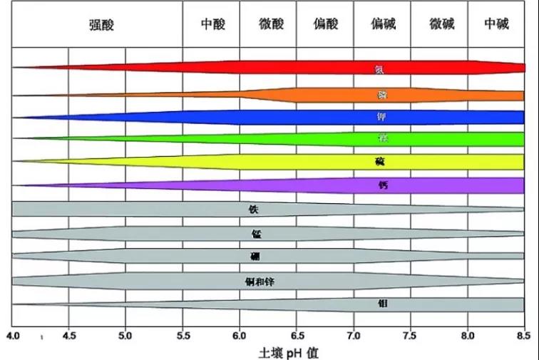 土壤PH速測儀，快速測PH